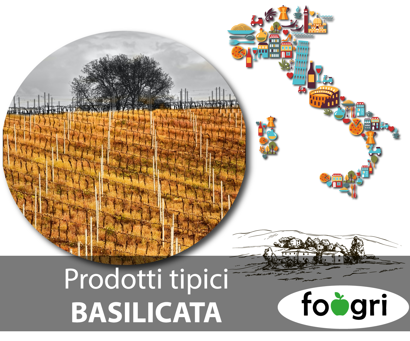 Azienda agricola farina Giuseppe e Michele — foto 3