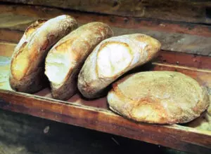 Pane di Cutro, il pane tipico calabrese